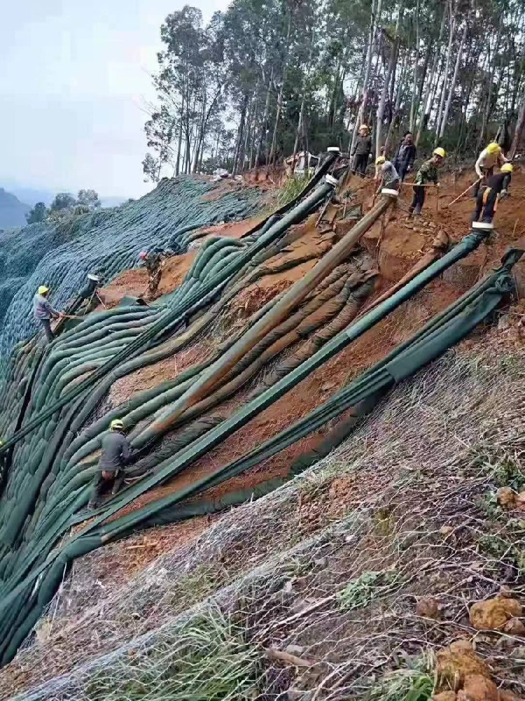 湖北植生袋山体绿化项目